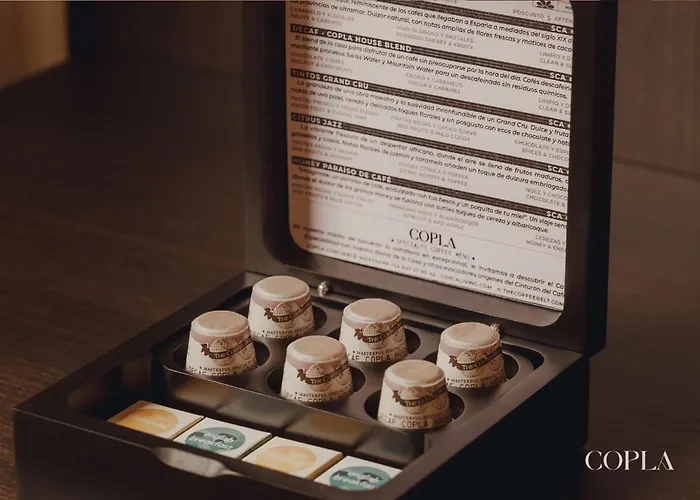 Ξενοδοχείο με διαμερίσματα Copla 3*